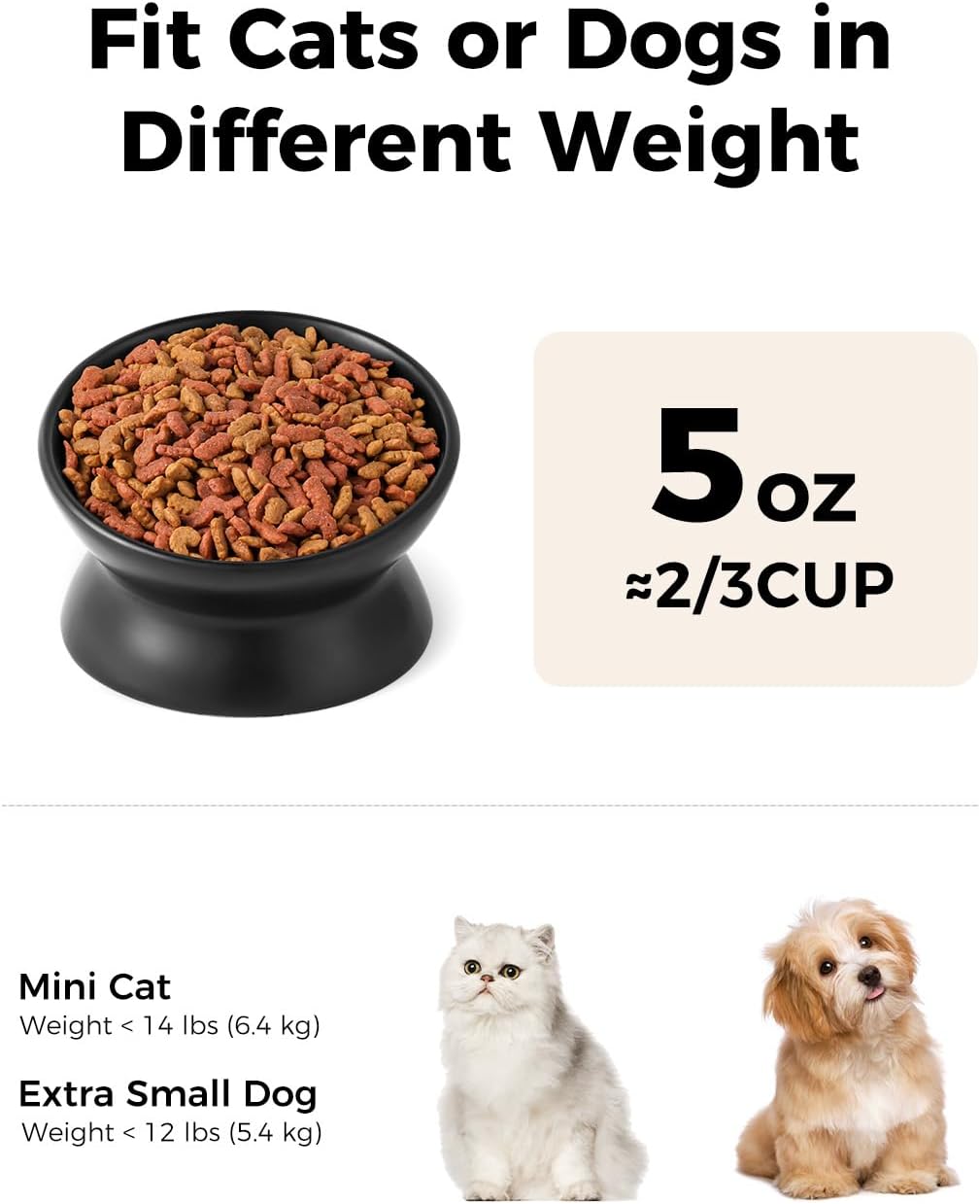 LoeJan Elevated Cat Food Bowl, 5 Oz Ceramic Raised and Tilted Water Bowl, Anti Vomiting and Protect Pets' Spines Dishes for Small Dog, Fat Faced Cat, Kitten (Black, 2 Pack)