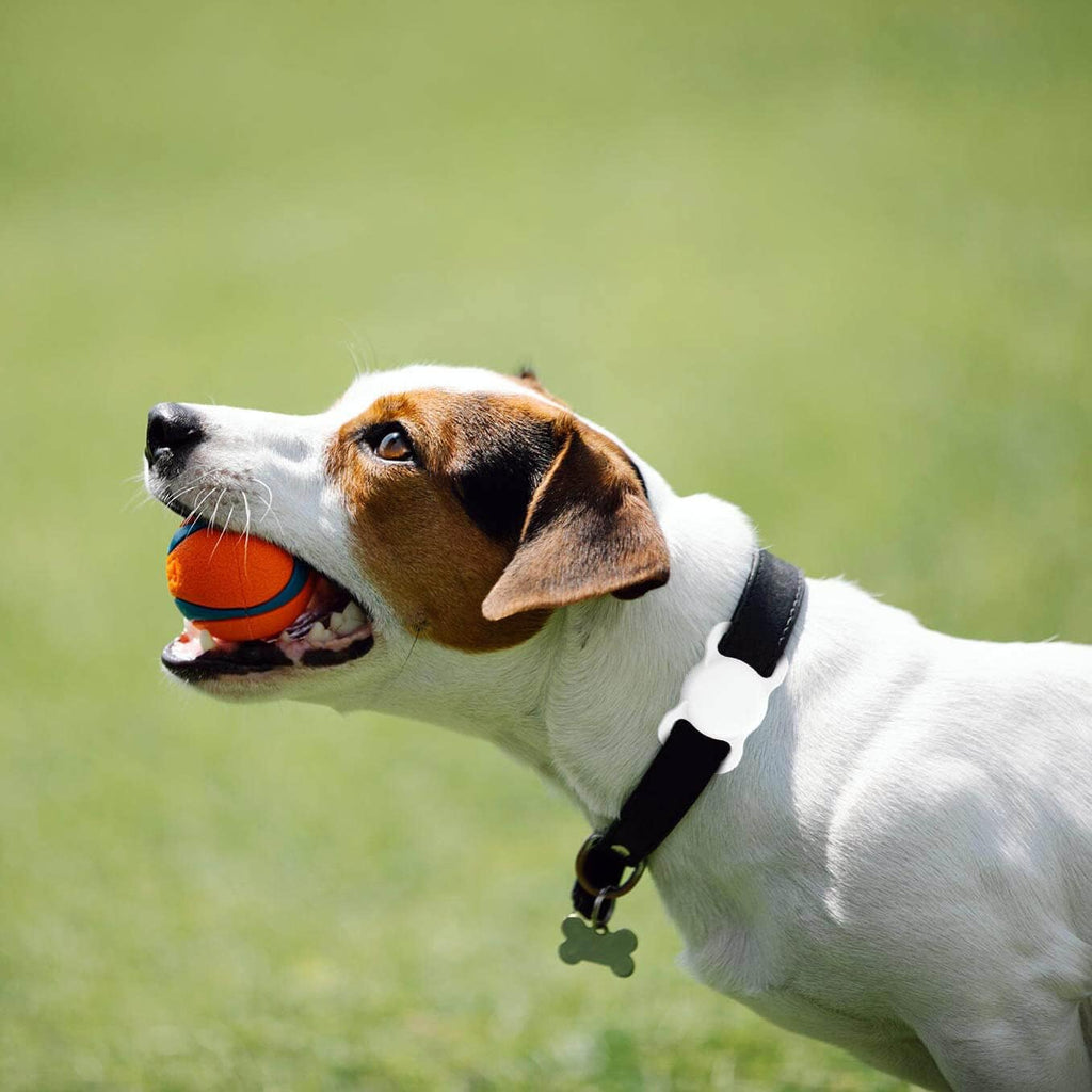 for AirTag Dog Collar Holder Soft Air Tag Holder (Black&White)
