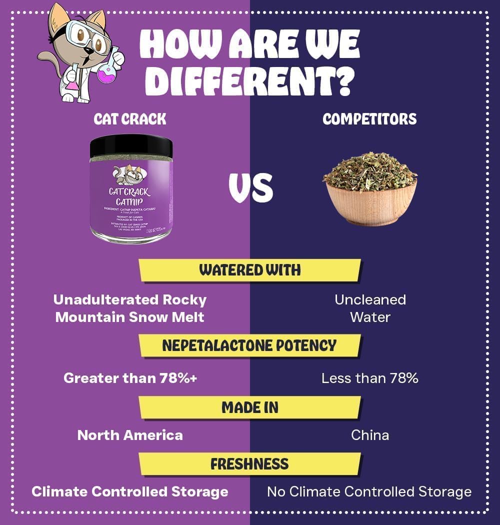 Cat Crack Catnip, Zoomie-Inducing Cat Nip, 100% Natural North American Made | 100% Natural, Safe & Non-Addictive Catnip Treats Used to Supplement Cat Nip Toys, Spray, & Accessories (4 Cups)