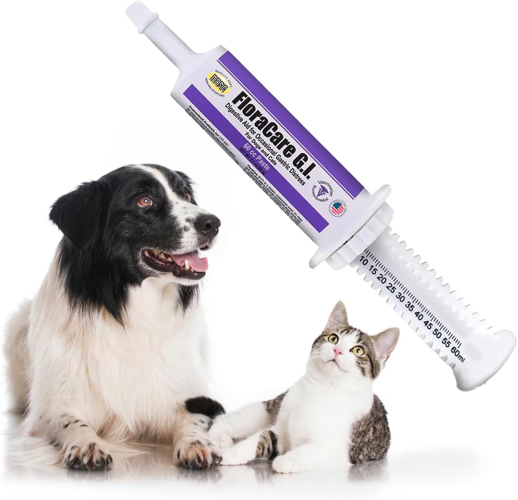 FloraCare GI Digestive Paste for Dogs & Cats – Helps Diarrhea, Upset Stomach & Occasional Gastric Distress – Gut Health Support with Easy Oral Syringe – Veterinarian Recommended Digestive Aid – 60cc