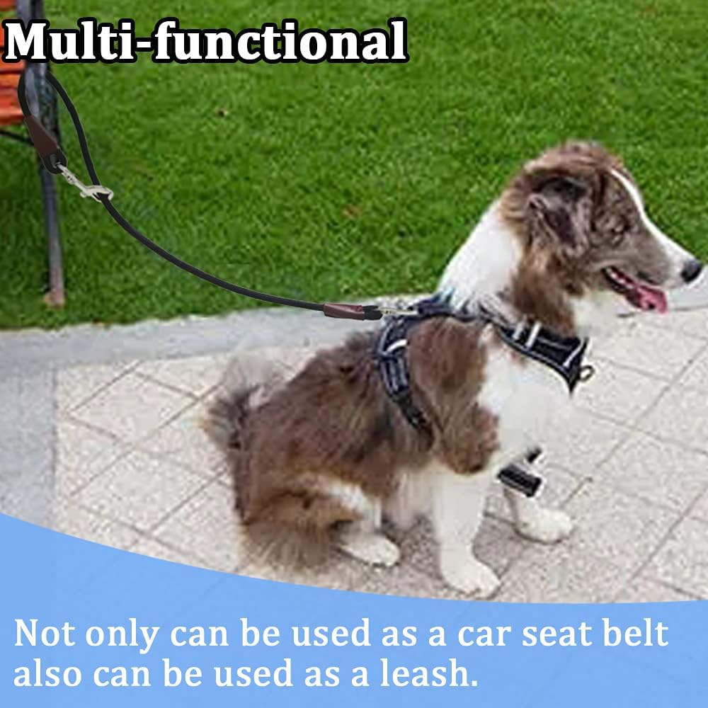 MayPaw Training Tie Down, 40In Short Dog Tether Indoor-Car Leash Seat Belt