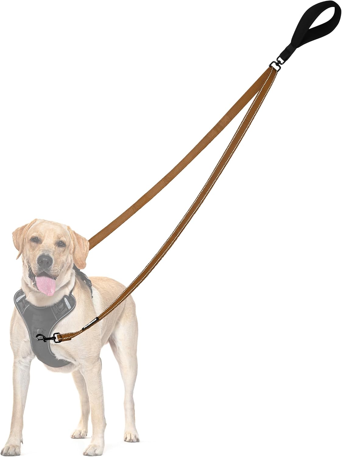 PetBonus Two Point Control Dog Leash, No Tangle Training Walking Leashes