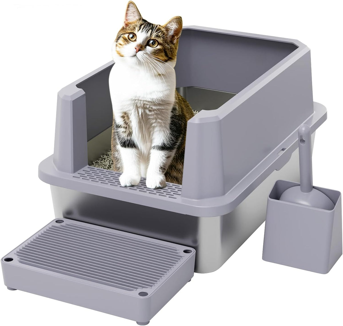 RIZZARI Open Cat Litter Box: Stainless, High Sided, Easy Clean | Spacious for Large Cats / 304 Stainless Anti-Odor / 6.5" Splash Guard / Leak-Proof Seams / Apartments & Laundry