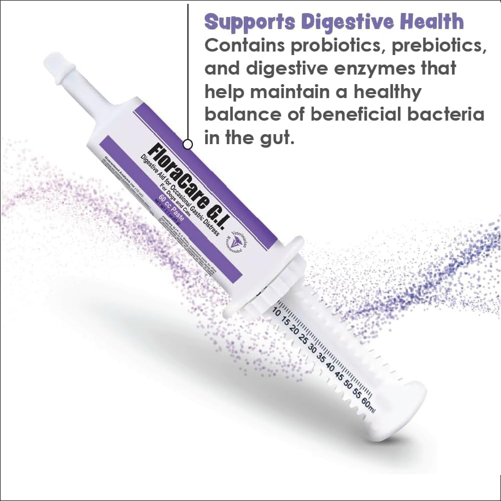 FloraCare GI Digestive Paste for Dogs & Cats – Helps Diarrhea, Upset Stomach & Occasional Gastric Distress – Gut Health Support with Easy Oral Syringe – Veterinarian Recommended Digestive Aid – 60cc