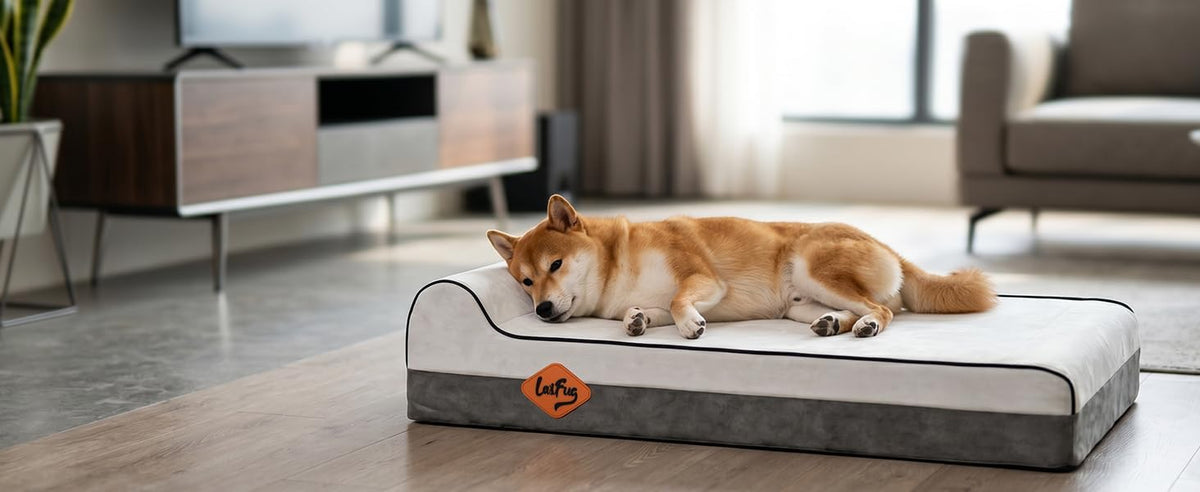 Laifug Orthopedic Dog Bed, Dark Grey 40''x25''x5.5'', Memory Foam