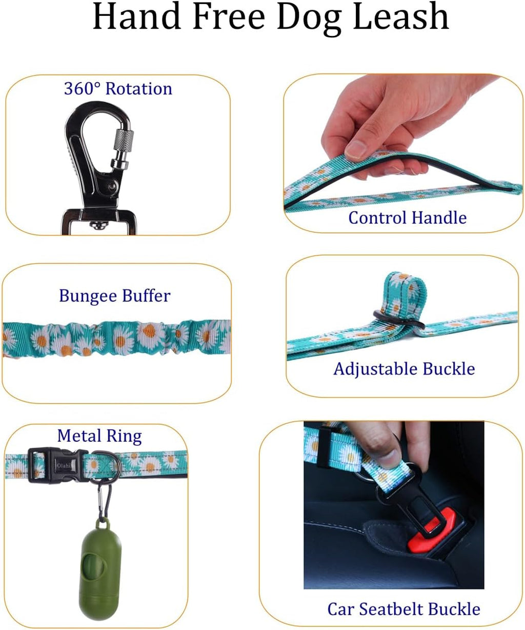Hands Free Dog Leash, No Pull Bungee Dog Running Waist Leash, with Car Seat Belt, Reflective Stripes, Heavy Duty for Medium and Large Dogs. (Daisy Green, Large)