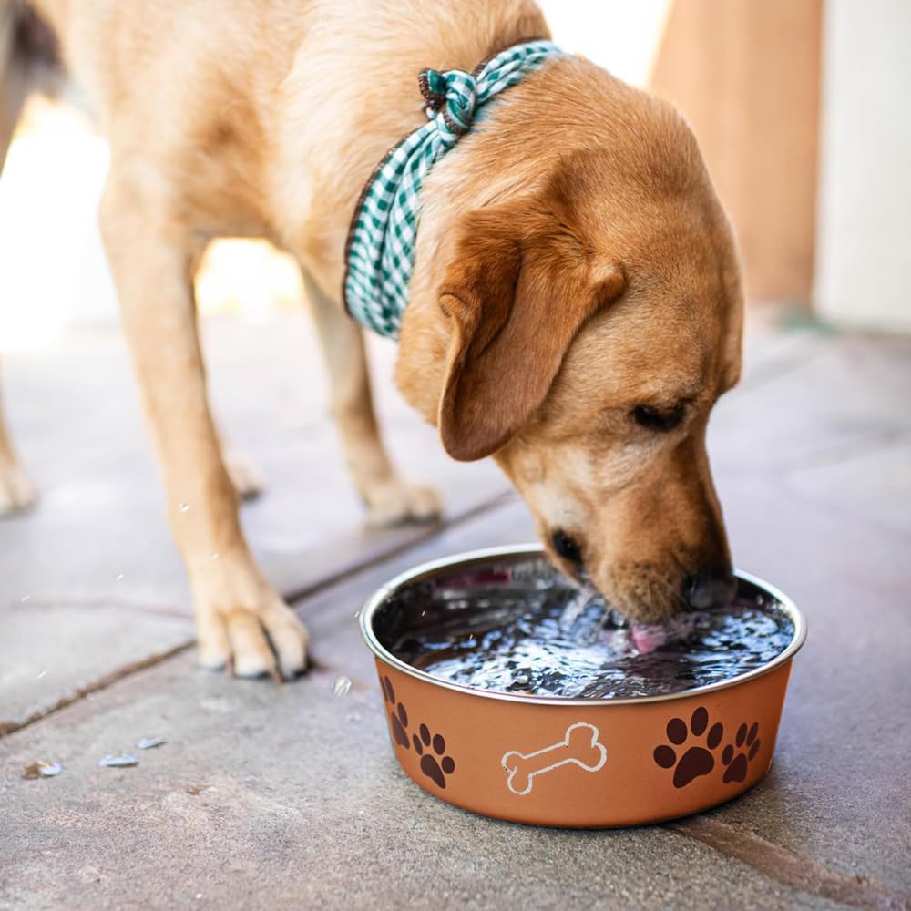Loving Pets Bella Dog Bowls- Stainless Steel Dog & Cat Bowls - Spill Proof Dog Food Bowl, Cat Bowl, Puppy Essentials & Pet Supplies Great for Home & Travel (Small 10-20 lbs, Copper) 