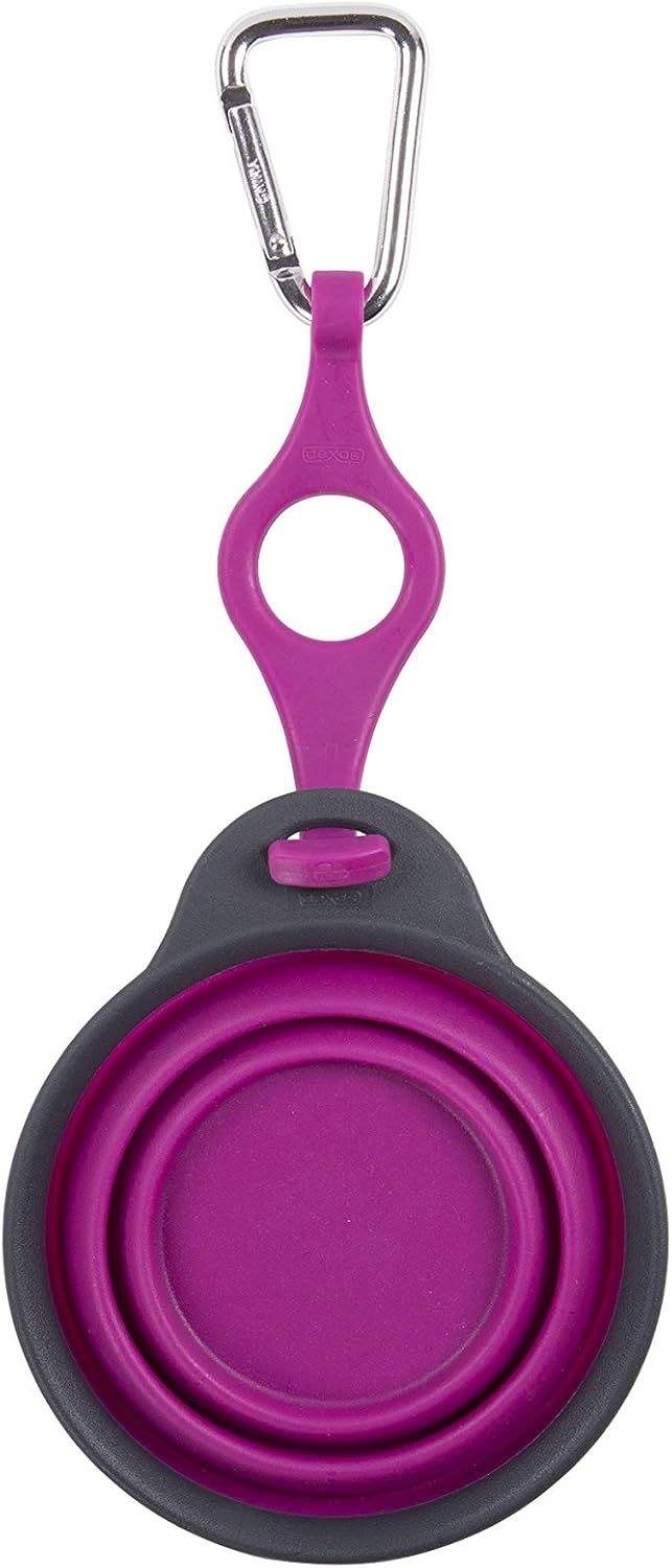 Dexas Pets Collapsible Travel Pet Cup with Bottle Holder and Carabiner, Fuchsia 