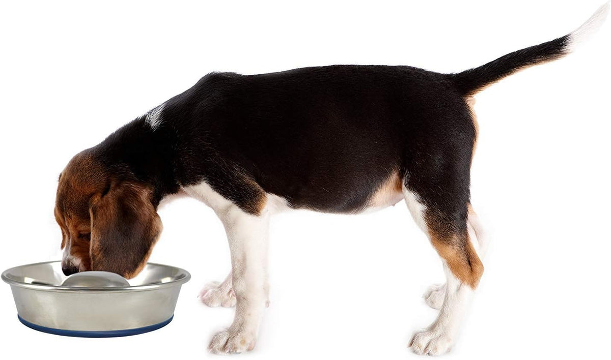 OurPets DuraPet Slow Feed Premium Stainless Steel Bowl (Heavyweight Durable Stainless Steel Bowls, Dog Food Bowl, and Dog Water Bowl) Great Alternative to Snuffle Mat for Dogs-Medium | Helps pace rapid eaters, durable easy clean design, an alternative ...