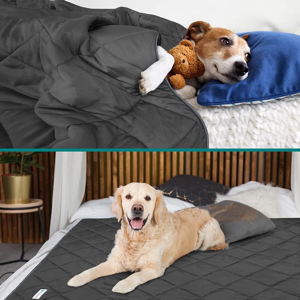 PetAmi Cooling Dog Blanket Lightweight Soft for Medium Pet Cat, 29x40 Grey