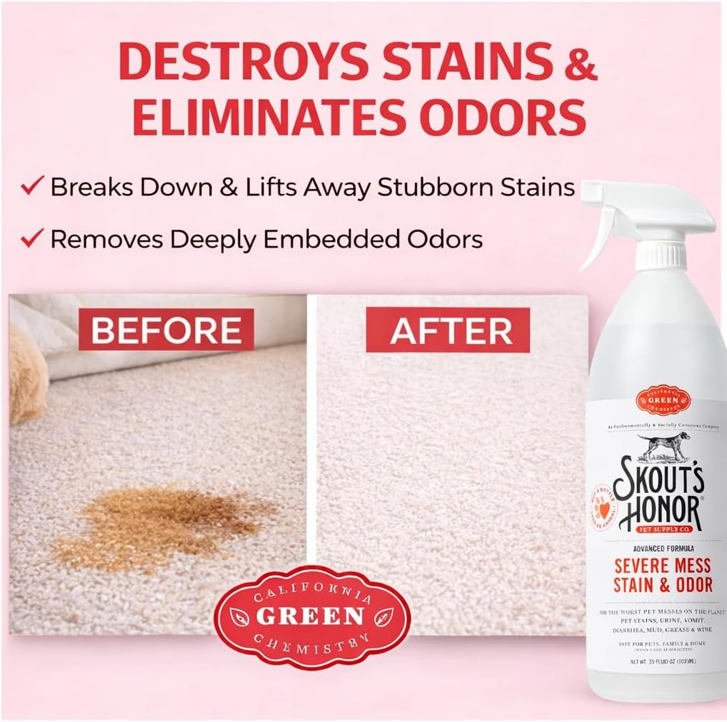 SKOUT'S HONOR Severe Mess Stain and Odor Remover, 35 oz