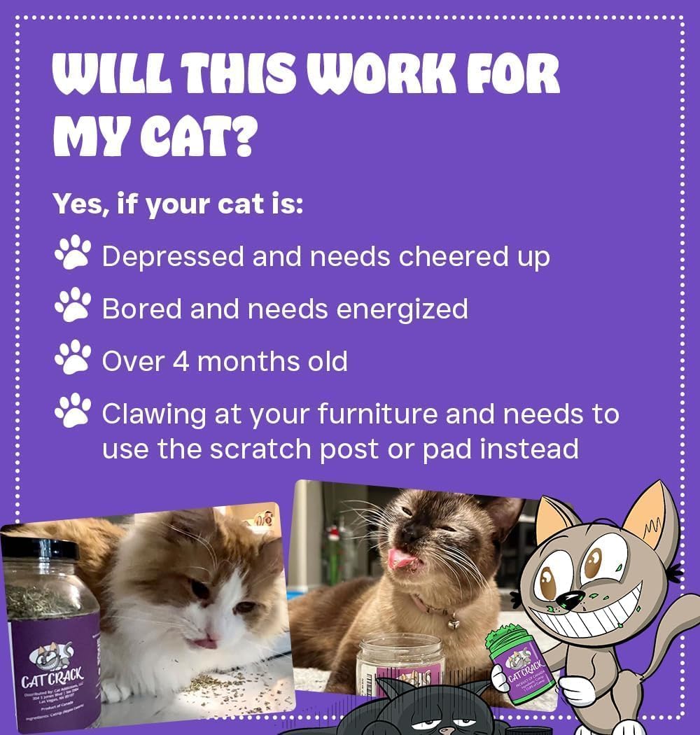 Cat Crack Catnip, Zoomie-Inducing Cat Nip, 100% Natural North American Made | 100% Natural, Safe & Non-Addictive Catnip Treats Used to Supplement Cat Nip Toys, Spray, & Accessories (4 Cups)