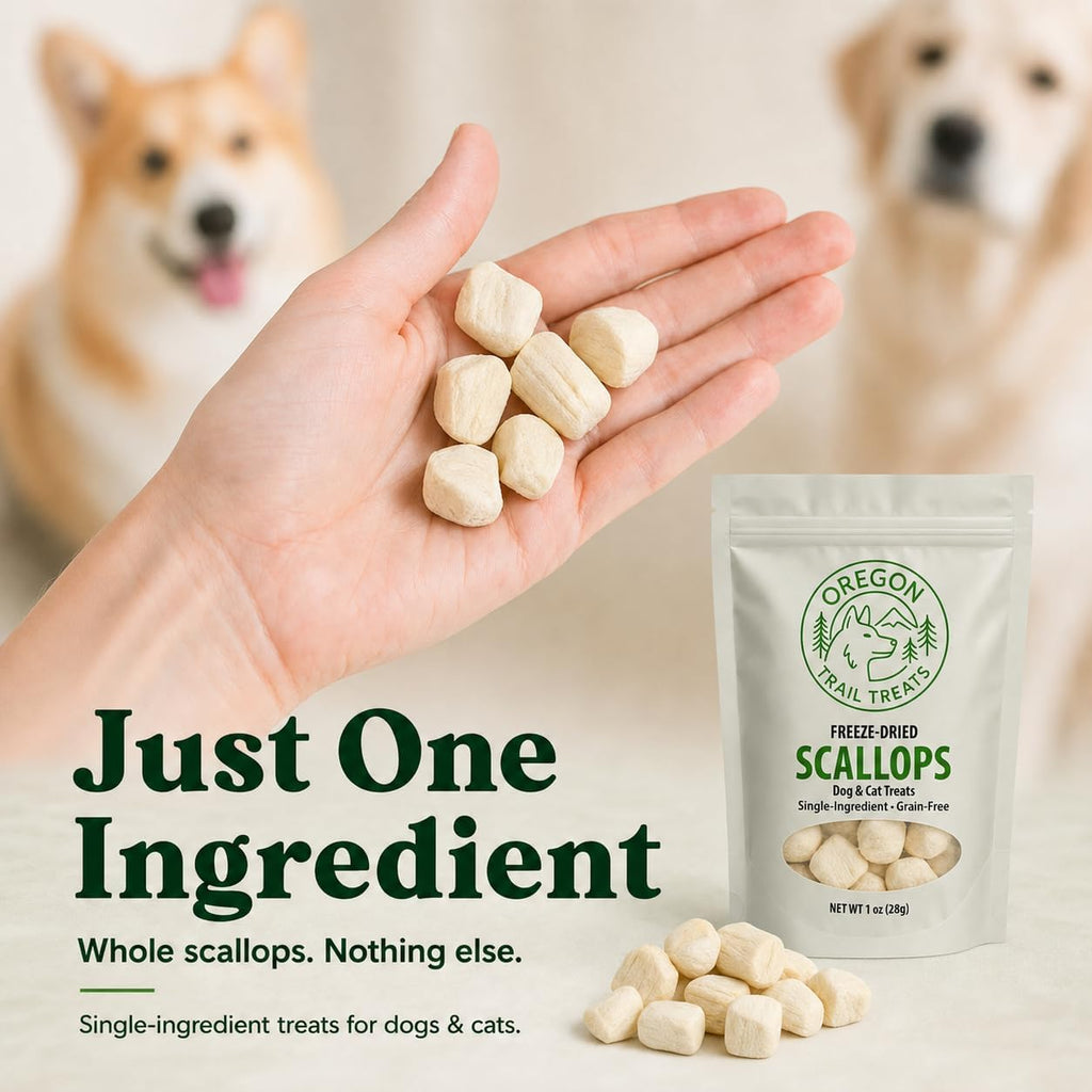 Oregon Trail Treats Freeze-Dried Scallops Dog & Cat Treats - Single Ingredient Premium Bay Scallops Grain Free 1 oz