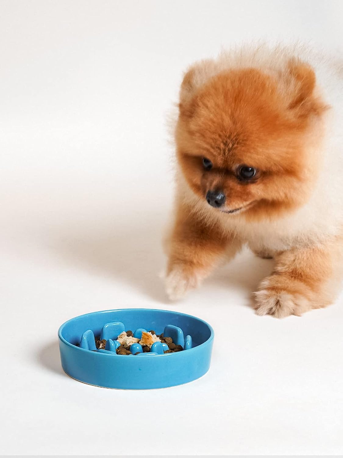 LE TAUCI Ceramic Slow Feeder Dog Bowls Small Breed, 0.6 Cups Dog Food Dish for Fast Eaters, Puzzle Bowl for Small Dogs and Cats,Vortex Blue