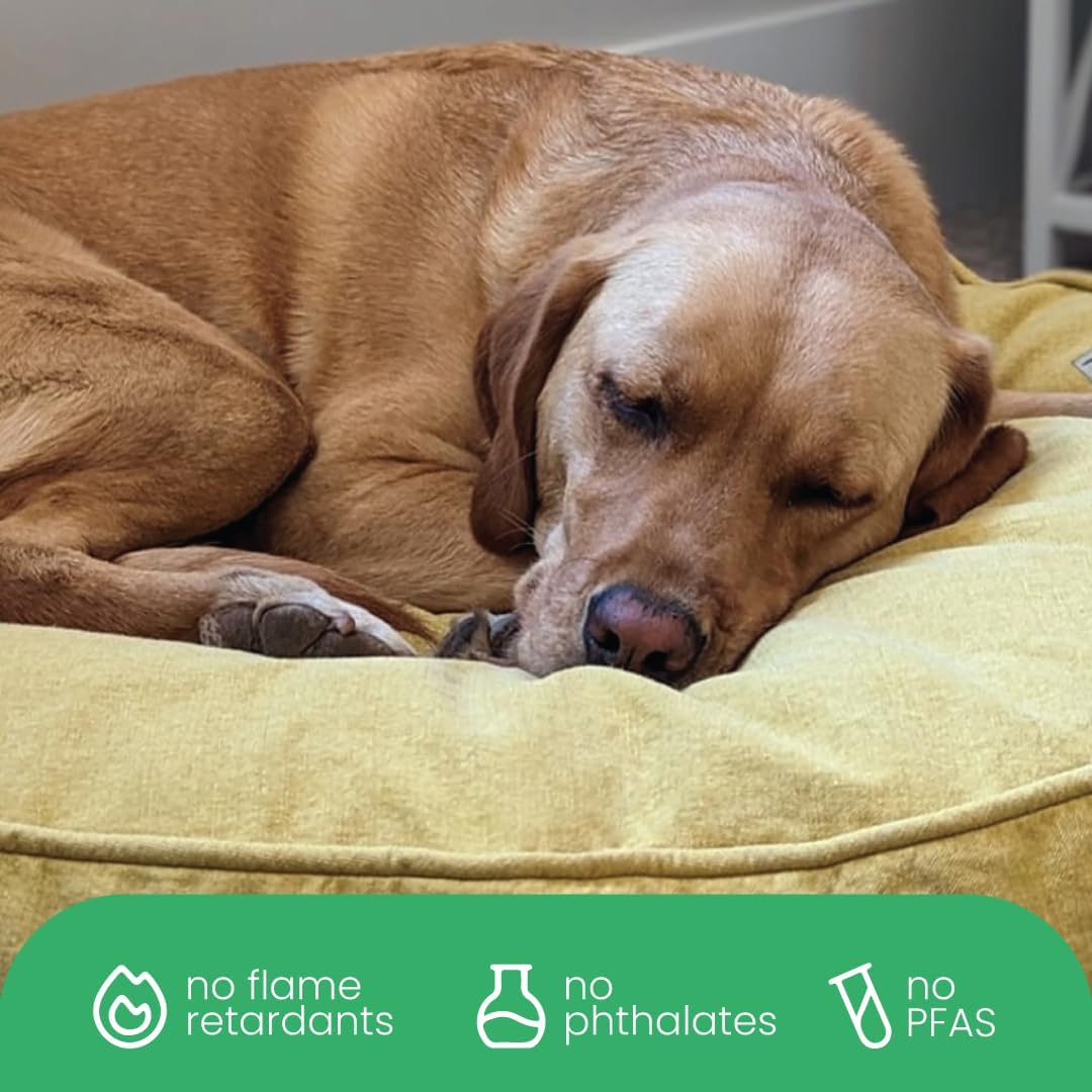 Molly Mutt Yellow Dog Bed Cover, Non-Toxic & 100% Cotton, 22"x27"x5"