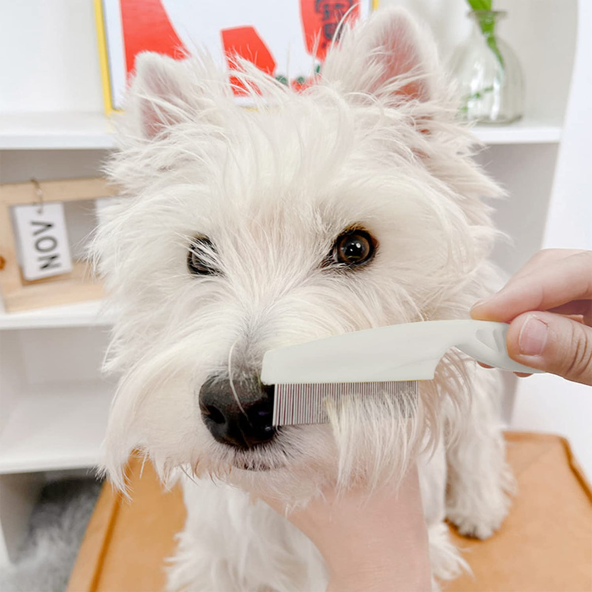 Kopal Flea Combs & Lice Brushers for Dogs and Cats, Fine Tooth Combs 3-pc, White