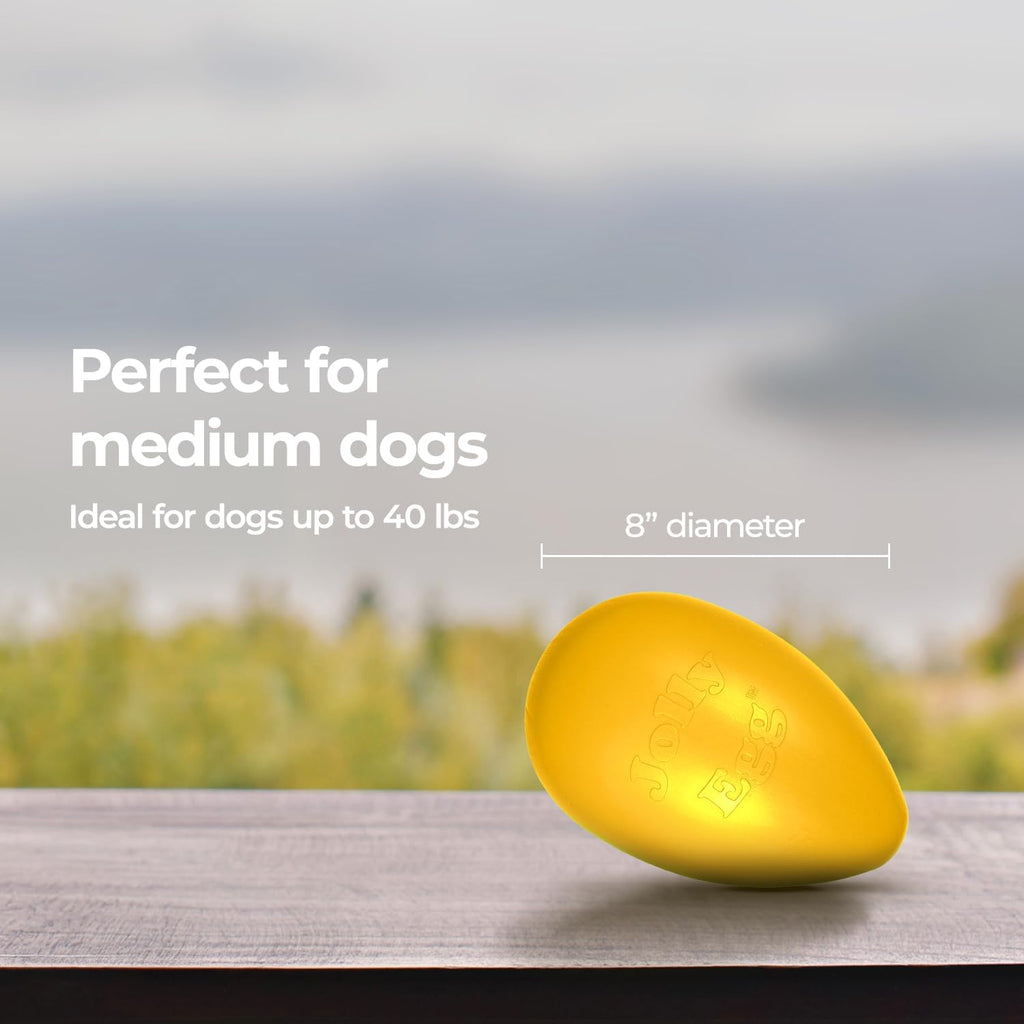 Jolly Pets Jolly Egg Herding Dog Toy, 8 in, Yellow - Erratic Roll