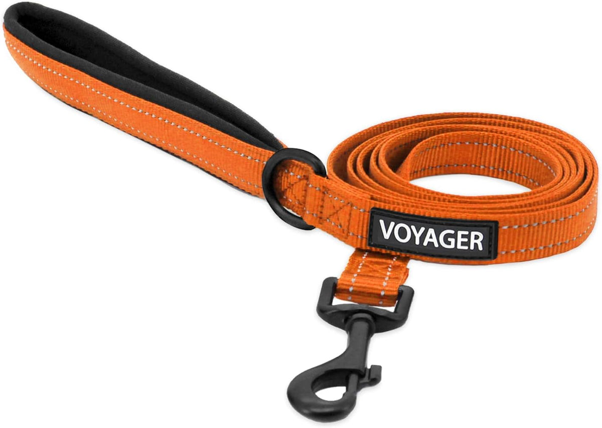 Best Pet Supplies Voyager Nylon Dog Leash - Orange, Small