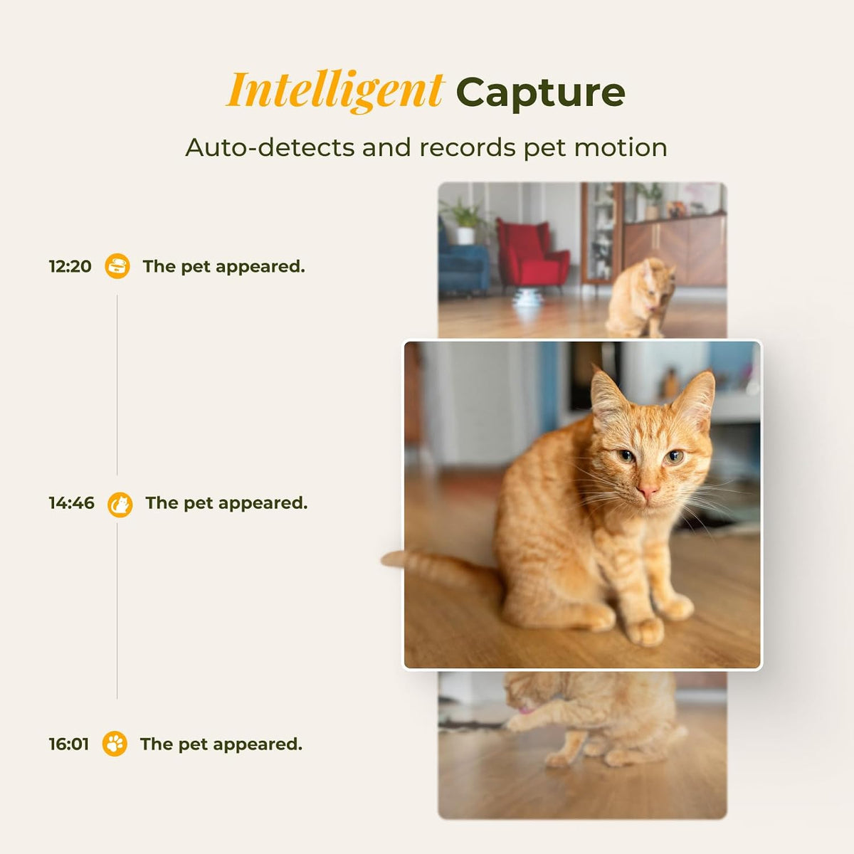 ARENTI 4L/17 Cups Automatic Cat Feeder and Water Fountain with Camera