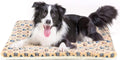 Mora Pets Dog Crate Pad Bed Ultra Soft Pet Mat Star Print Brown 35 x23 Inch