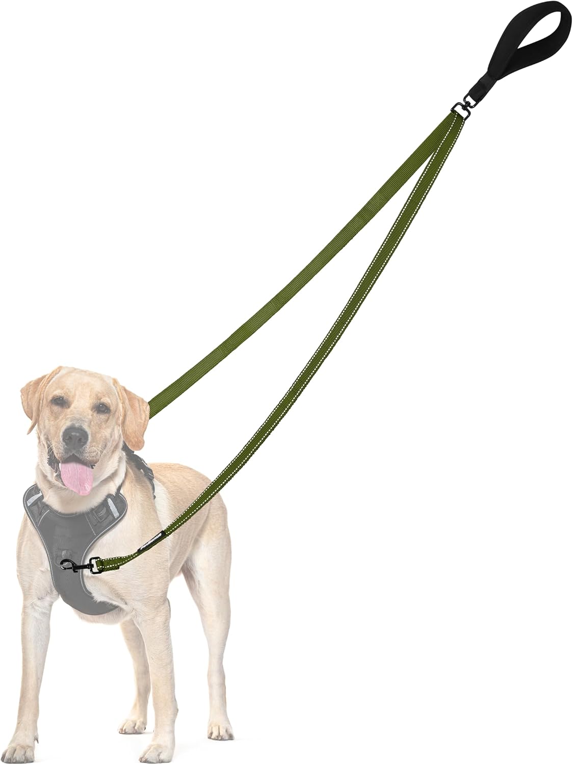 PetBonus Two Point Control Dog Leash, No Tangle Training Walking Leashes