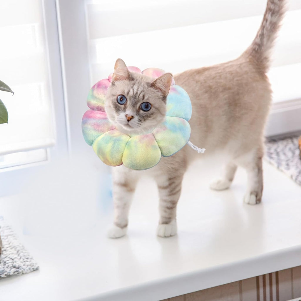 Adjustable Dog Cone Collar, Soft Dog Elizabethan Collar Recovery E Collar After Surgery, Recovery E-Collar for Kittens/Puppies and Cats Recovery