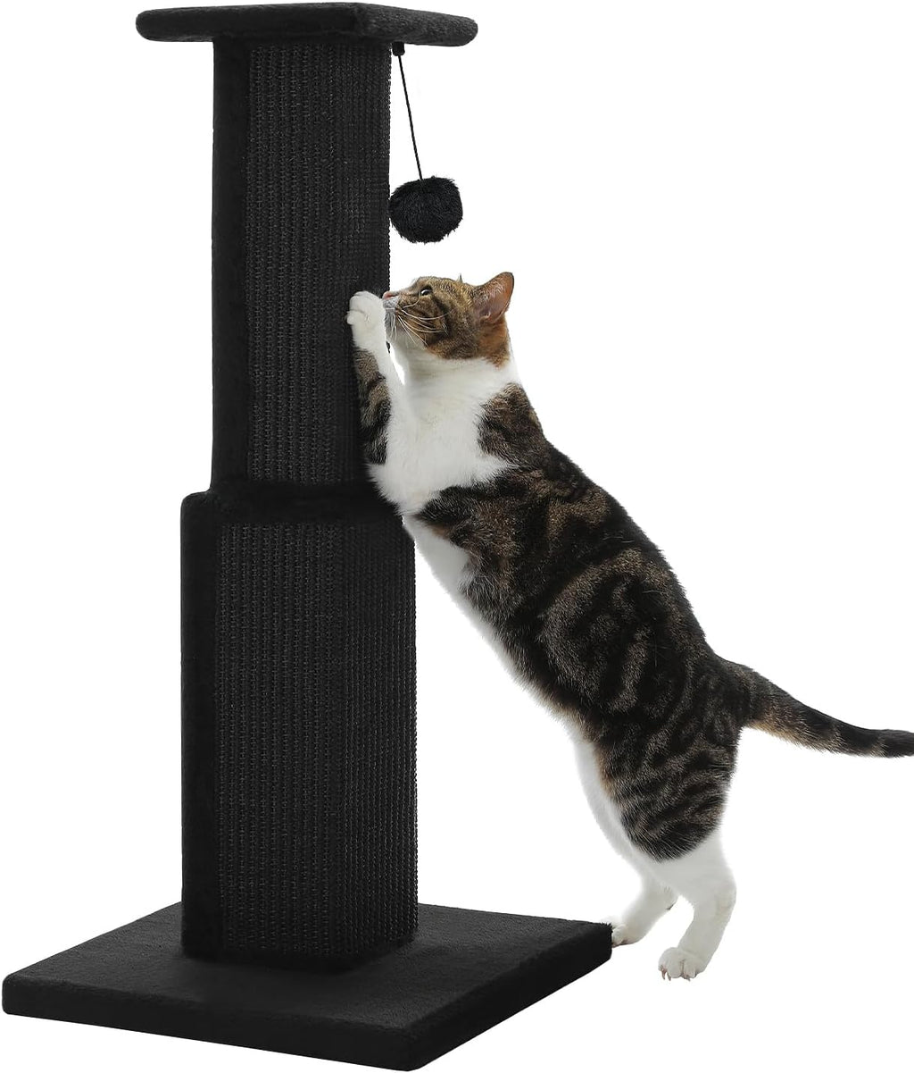 PAWZ Road Large Cat Scratching Post 32" Tall Black Cat Scratcher