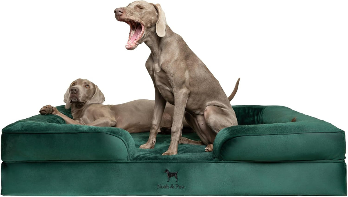 NOAH & PAW XXL Dog Bed, Orthopedic Memory Cooling Foam (2X Base) 55x45x11in