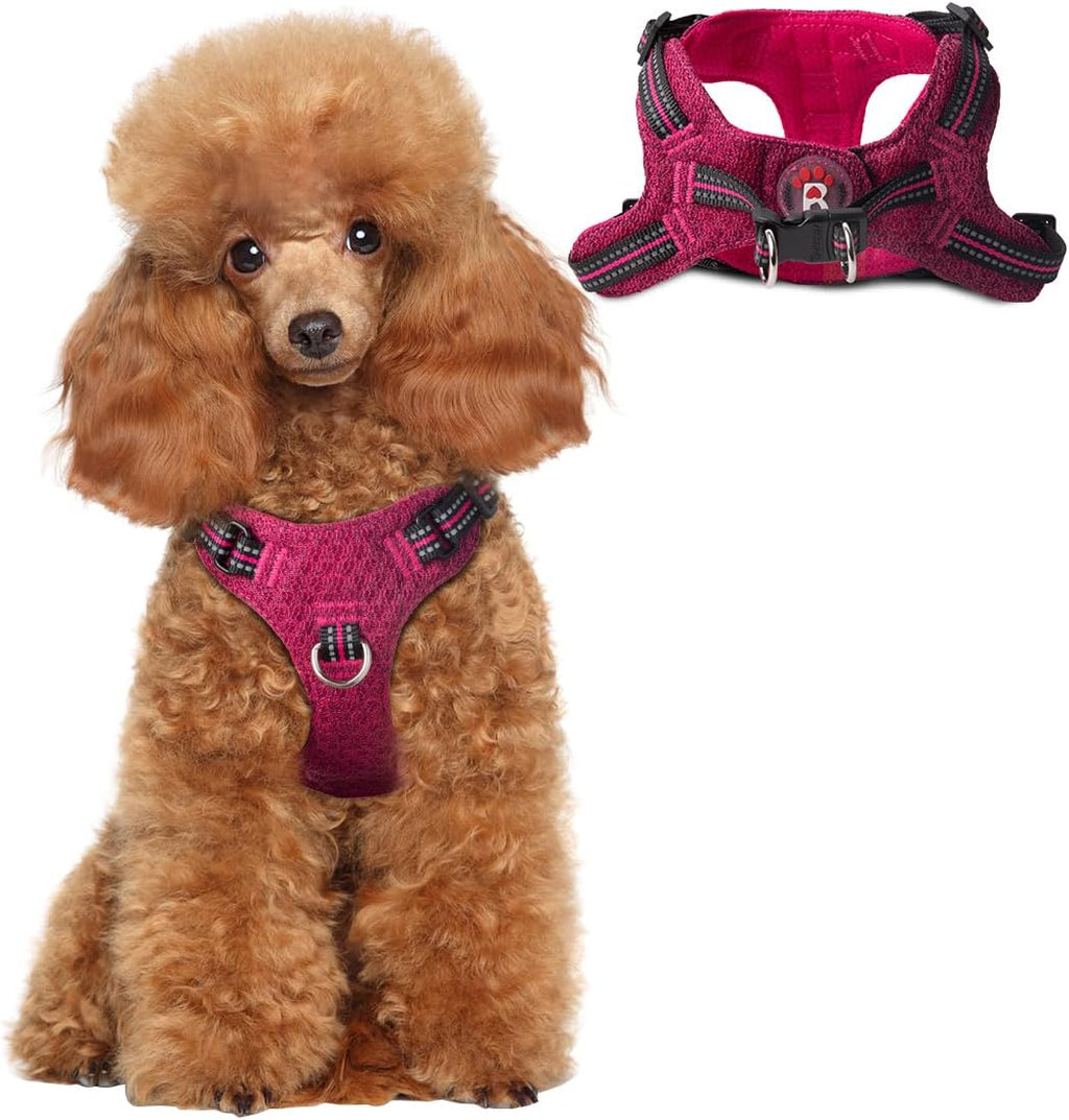 BARKBAY Small Dog Harness,No Pull Puppy Harness,Step-in Dog Vest