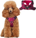 BARKBAY Small Dog Harness,No Pull Puppy Harness,Step-in Dog Vest