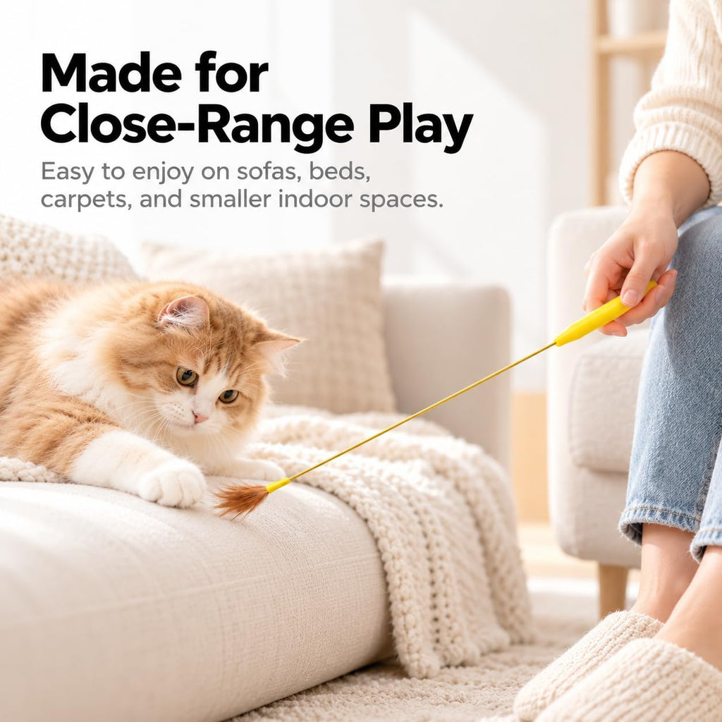 Cat Teaser Wands 2 Pack, Mini Natural Feather Cat Toys