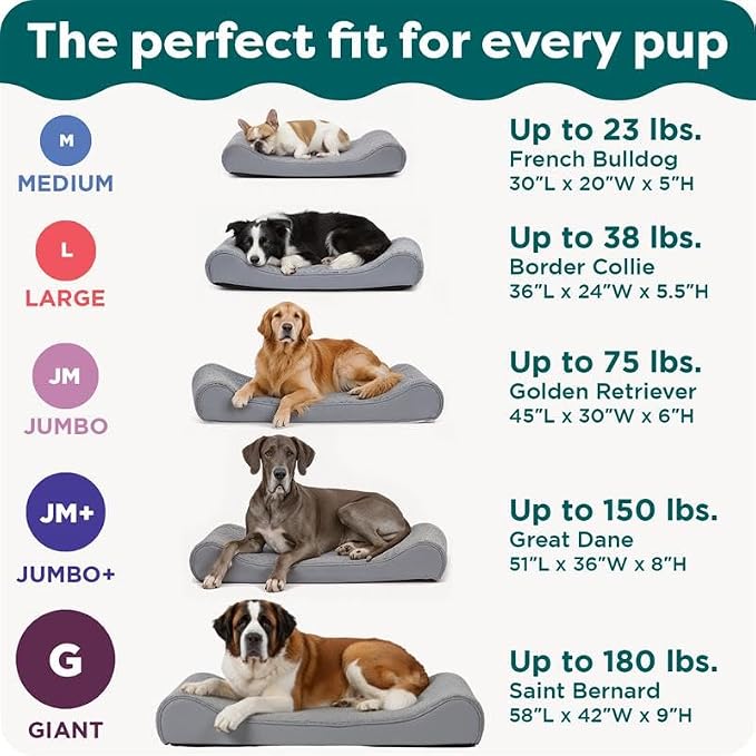 FurHaven Orthopedic Dog Bed for Large Dogs, Luxe Lounger Contour Mattress with Solid Orthopedic Foam Slab for Joint Support, Removable Washable Cover - Jumbo Plus XXL, Plush Suede, Cream