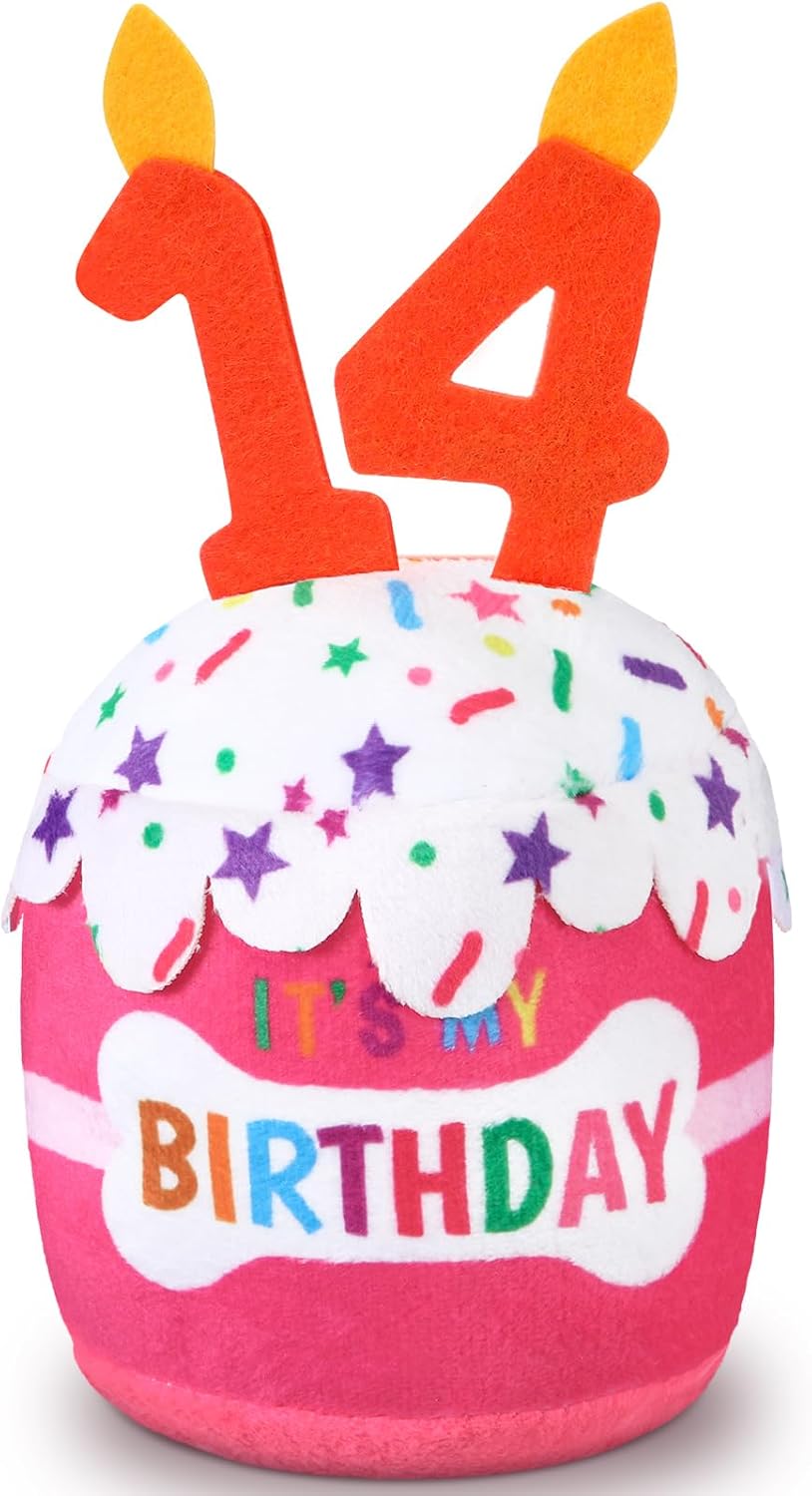 Dansydaisy Dog Birthday Cake Toy Squeaky Plush Gift,14th,Pink | Interactive Squeaky Gift for Dogs, Dog Birthday Decor , Soft Chew for Small Medium Large Pets, Cake Design with Candle