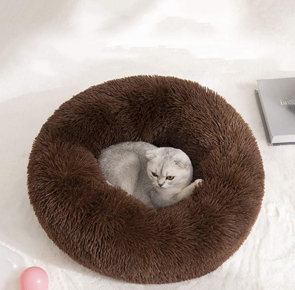 Cat Bed for Indoor Cats,Mini Plush Self Warming Kitten Bed, 20 Inch