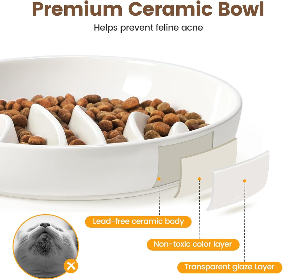 PETTOM Slow Feeder Cat Bowl Elevated Ceramic with Bamboo Stand, Fishbone