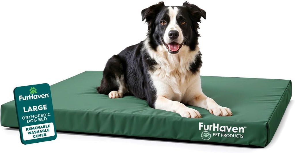 Furhaven Water-Resistant Orthopedic Dog Bed for Large/Medium Dogs w/ Removable Washable Cover, For Dogs Up to 55 lbs - Indoor/Outdoor Logo Print Oxford Polycanvas Mattress - Forest, Large
