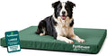 Furhaven Water-Resistant Orthopedic Dog Bed for Large/Medium Dogs w/ Removable Washable Cover, For Dogs Up to 55 lbs - Indoor/Outdoor Logo Print Oxford Polycanvas Mattress - Forest, Large