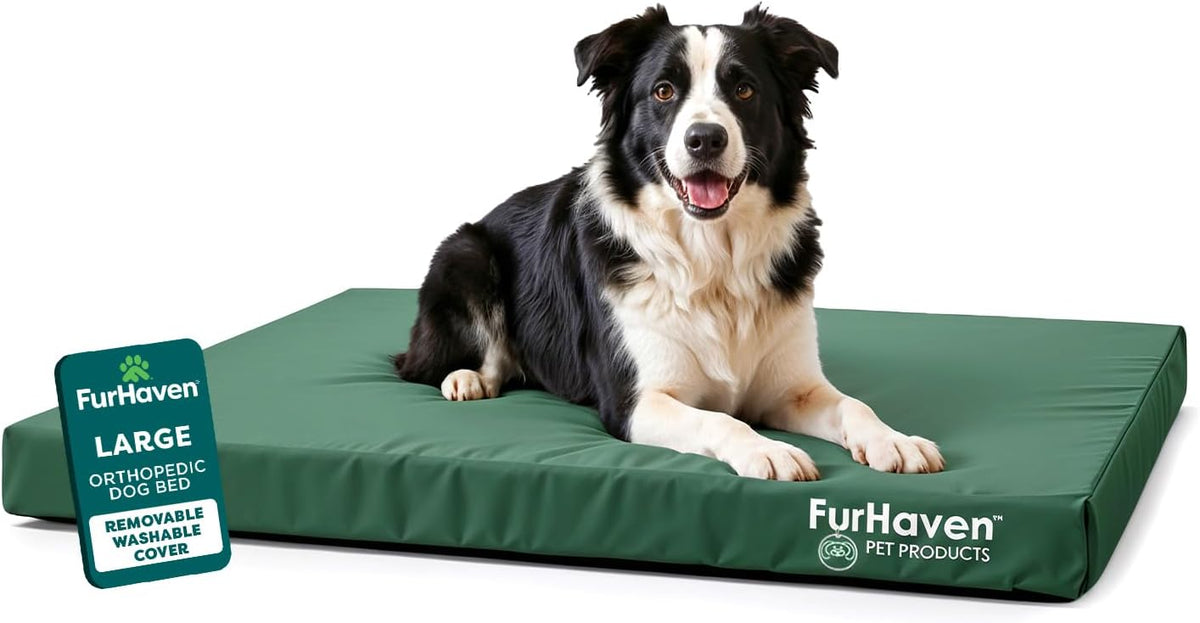 Furhaven Water-Resistant Orthopedic Dog Bed for Large/Medium Dogs w/ Removable Washable Cover, For Dogs Up to 55 lbs - Indoor/Outdoor Logo Print Oxford Polycanvas Mattress - Forest, Large