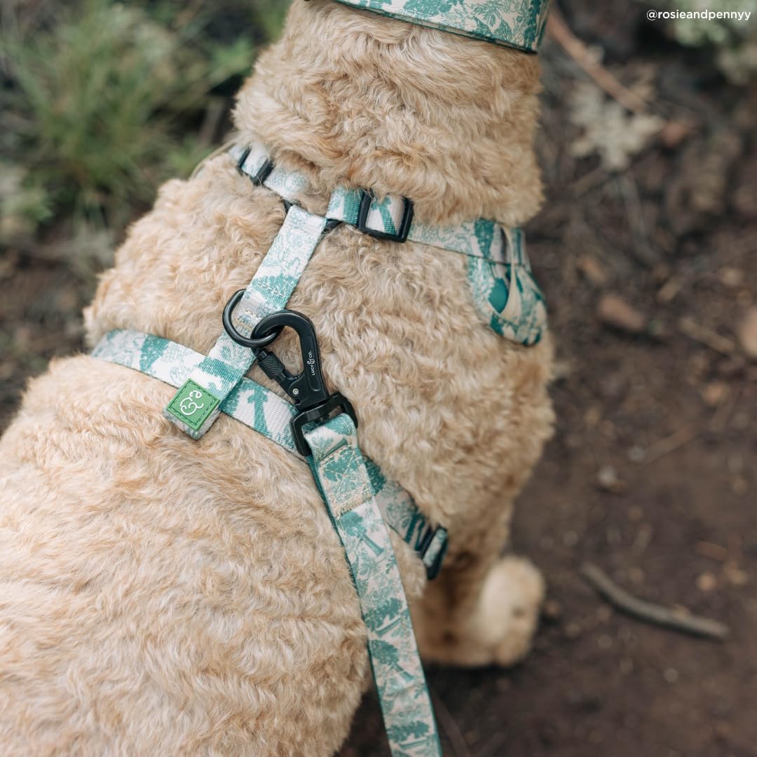 Lucy & Co. x Parks Project Sequoia Seedlings Dog Leash, S