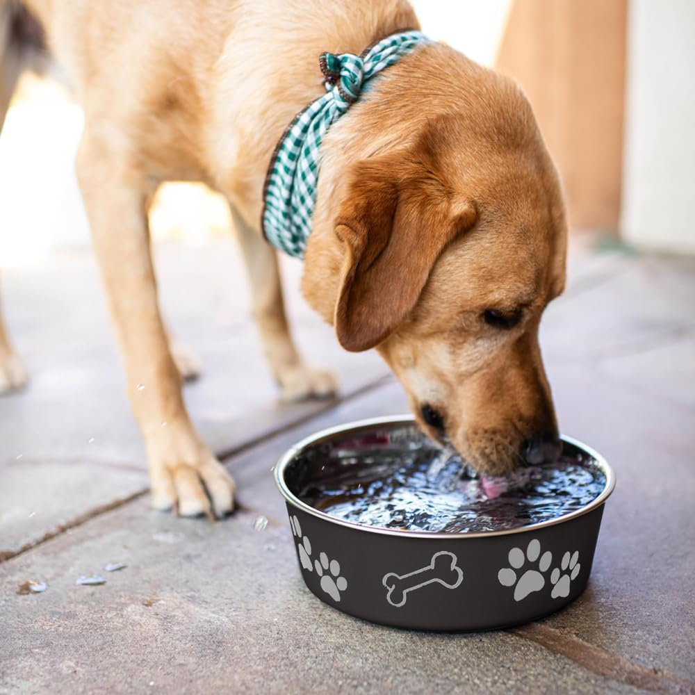 Loving Pets Bella Dog Bowls- Stainless Steel Dog & Cat Bowls - Spill Proof Dog Food Bowl, Cat Bowl, Puppy Essentials & Pet Supplies Great for Home & Travel (Medium 20-35 lbs, Espresso) 