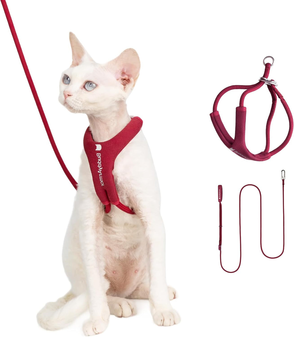 Escape Proof Cat Harness and Leash Set, Y Shape Cat Harness Adjustable Anti-Choke Soft Padded Vest Harness Hands Free Cat Rope Leash and Harness Set for Kitten Cats≤26lbs (Burgundy, S)