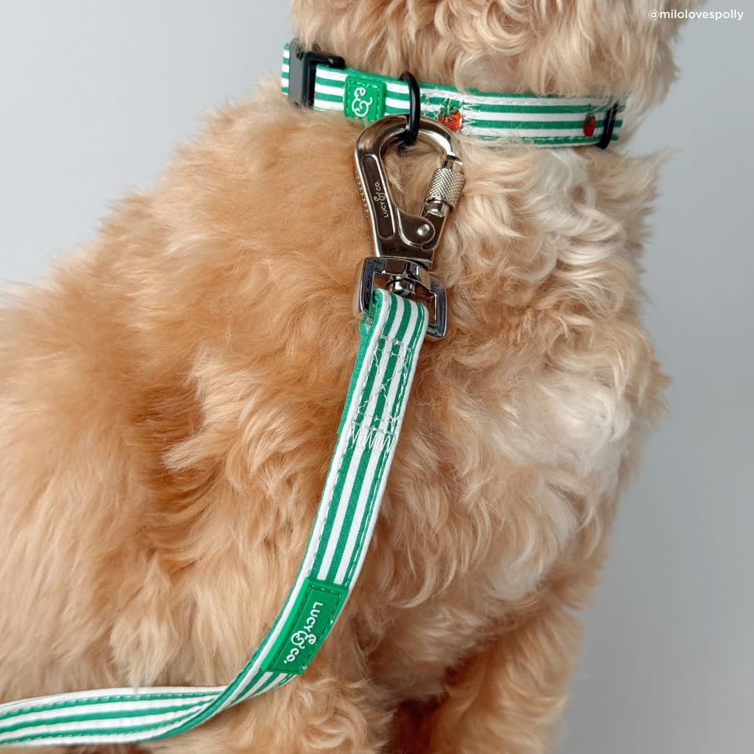 Lucy & Co. Tomato, Tomahto Dog Leash, Durable Matching Dog Lead with Heavy Duty Hardware, Small