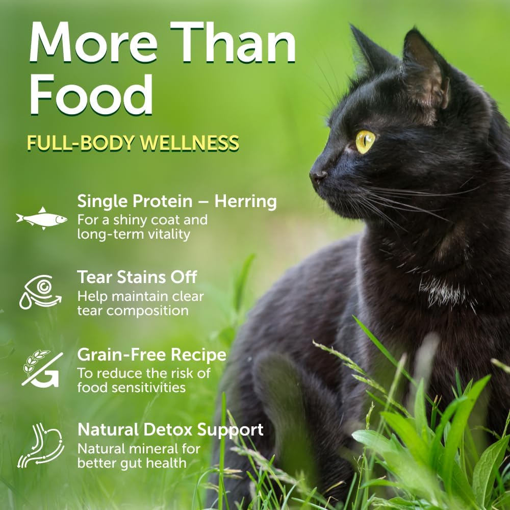 Nature's Protection Superior Care Dry Cat Food, Dark Adult, Herring 0.88lb
