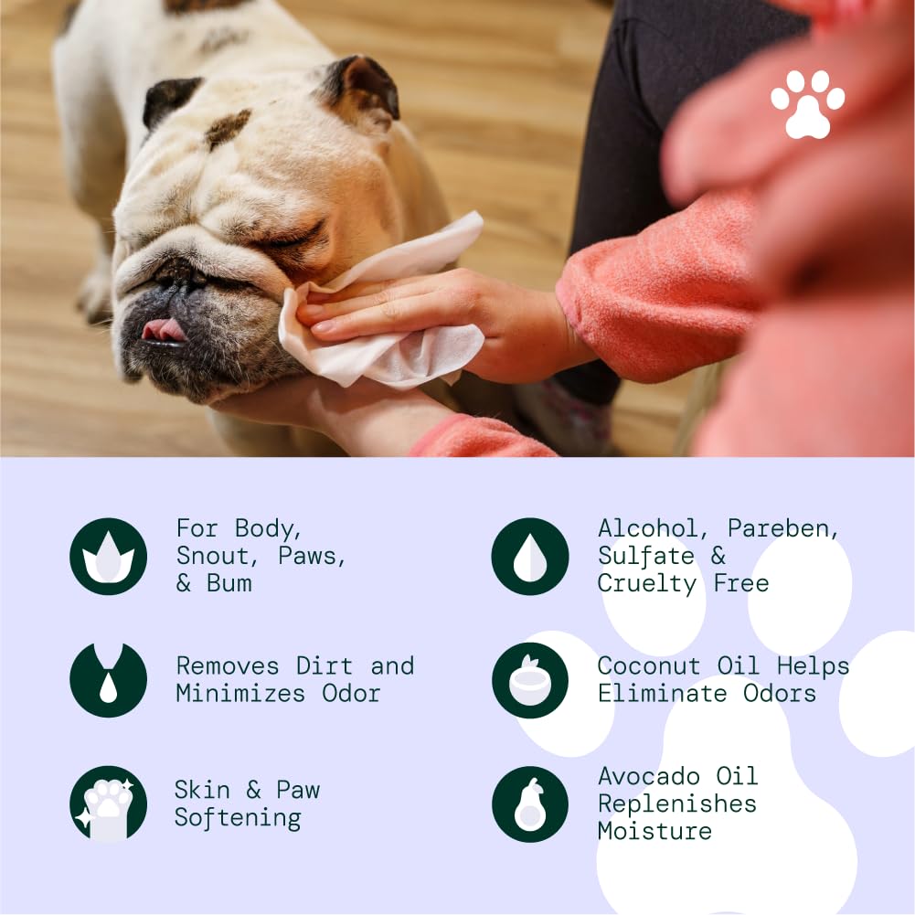 ALŌH Hypoallergenic Multi-Purpose Pet Wipes, All-Natural & Unscented | Grooming & Cleaning Wipes for Paws, Butt, Face & Body - Sensitive Skin Safe with Coconut & Avacado Oil - 3 x 50ct (150ct)