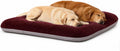 Magic Dog Orthopedic Extra Large Dog Bed 47 Inch, Super Soft XL Pet Bed