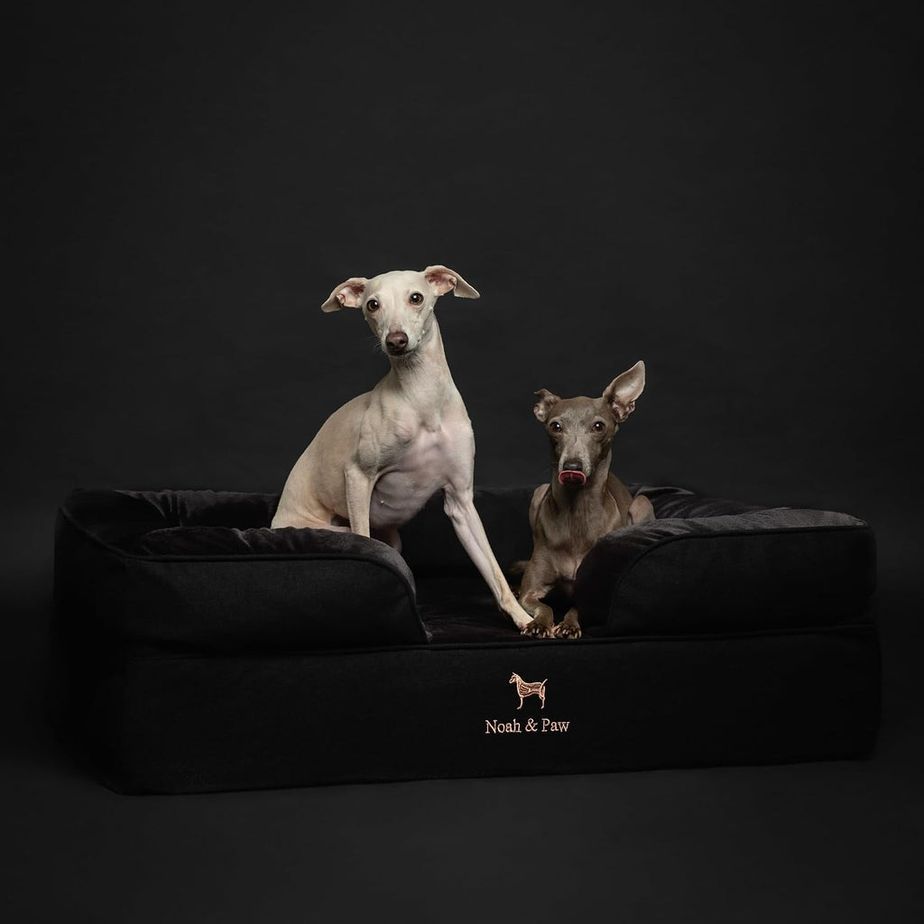 NOAH & PAW Dog Bed, Orthopedic Memory Cooling Foam (2X Base) 35x25x11in