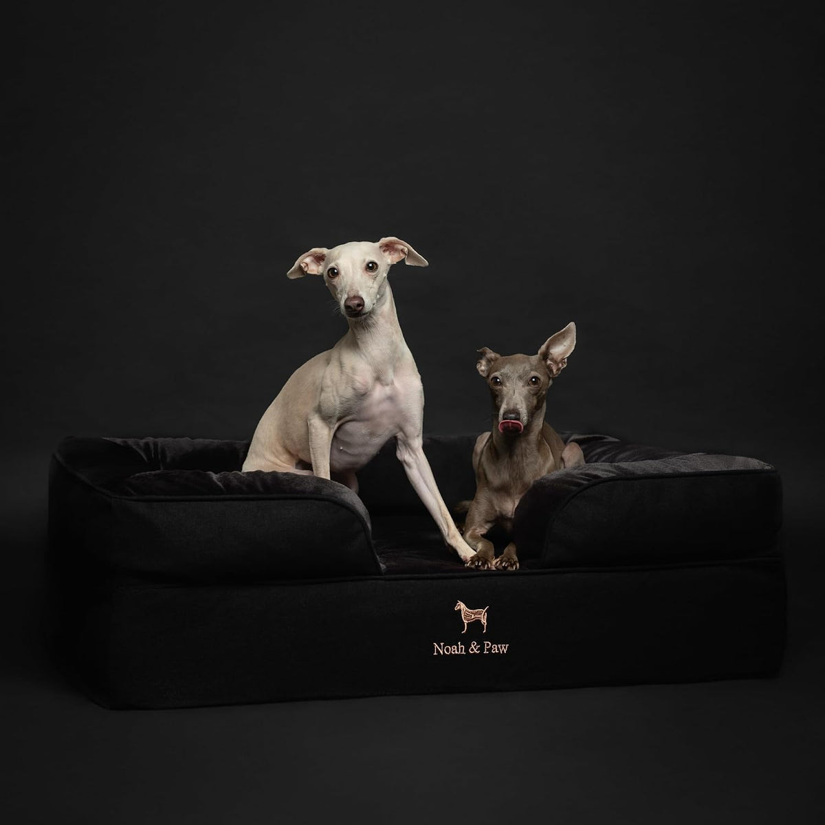 NOAH & PAW Dog Bed, Orthopedic Memory Cooling Foam (2X Base) 35x25x11in