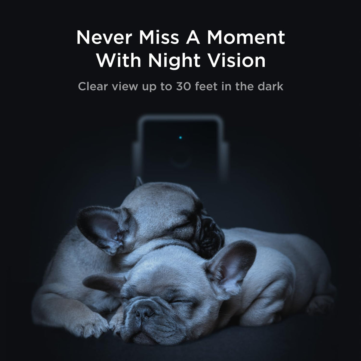 Petcube Cam (2-Pack) – Wi-Fi Pet & Security Camera with App