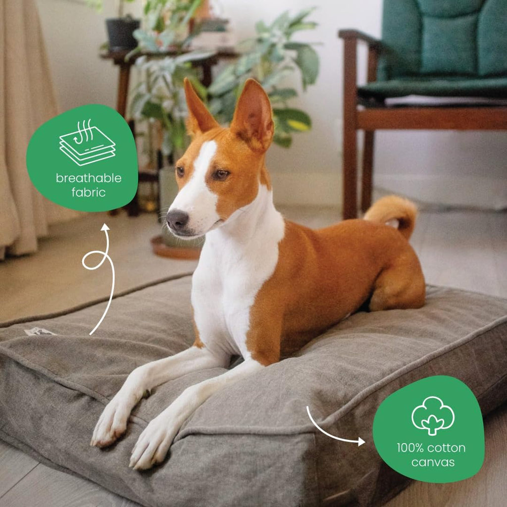 Molly Mutt Gray Dog Bed Cover, Non-Toxic & 100% Cotton, 22"x27"x5"