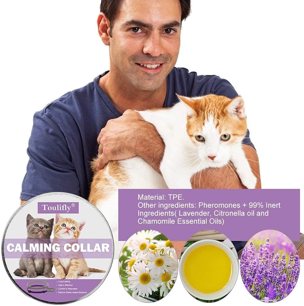 Nature's Miracle Urine Destroyer for Dogs, Light Fresh Scent, Tough on Strong Dog Urine and The Yellow Sticky Residue